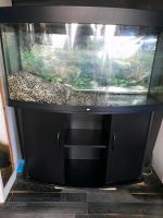 260L Juwel Vision Panorama Aquarium ohne Inhalt/Zubehör Nordrhein-Westfalen - Kempen Vorschau