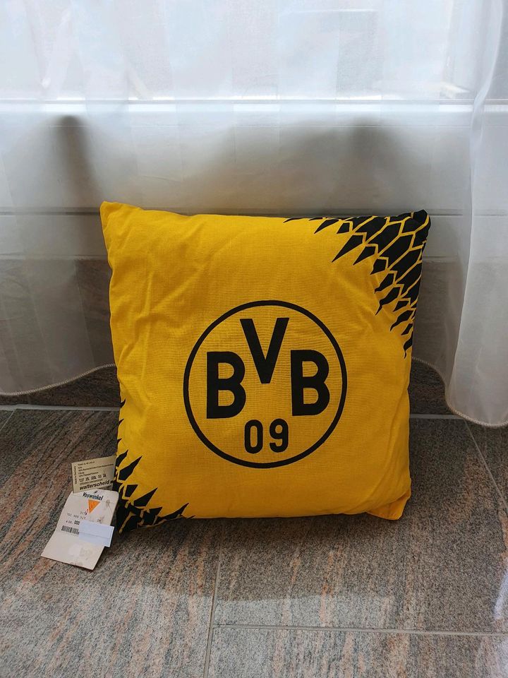 BVB Fans - hier original Kissen aus den 90er Jahren - gegen Gebot in Bochum