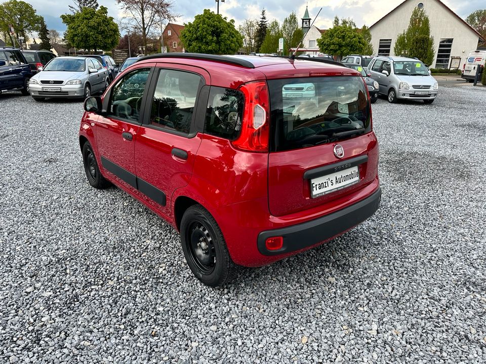 FIAT PANDA*2-HAND*GARANTIE*KLIMA*TÜV-NEU*TOP* in Versmold