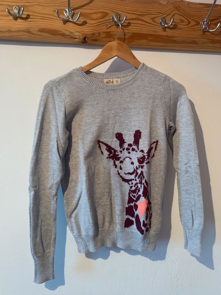 Hollister Pullover mit Giraffe XS in Pressath