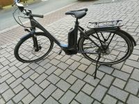 Winora Tria 10 Damen E-Bike 28 Zoll Hessen - Waldbrunn Vorschau