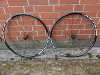 Mavic Aksium Disc Laufräder/Laufradsatz Rennrad ,Shimano Freilauf Nordrhein-Westfalen - Warendorf Vorschau