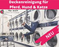 Pferdedecken waschen Hundedecke reinigen Waschservice für Decken Schleswig-Holstein - Henstedt-Ulzburg Vorschau