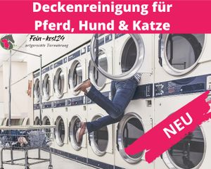 Pferdedecken Waschen in Schleswig-Holstein | eBay Kleinanzeigen ist jetzt  Kleinanzeigen