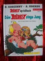 Asterix op kölsch - Däm Asterix singe Jung Baden-Württemberg - Spaichingen Vorschau