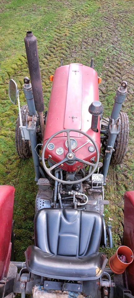 Traktor Massey Ferguson 35 mit 2t Anhänger in Wrestedt