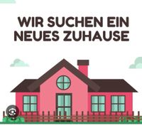 3-Zimmer Wohnung/Doppelhaushälfte gesucht Nordrhein-Westfalen - Goch Vorschau