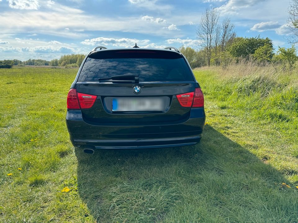 BMW E91 LCI 320d Touring Navi Temp Pano Sihz Xenon in Rostock