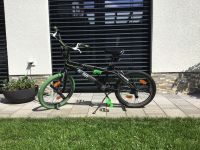 BMX Fahrrad 20zoll Nordrhein-Westfalen - Bad Lippspringe Vorschau