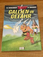 Limitierter Skizzenband Asterix Gallien in Gefahr München - Pasing-Obermenzing Vorschau