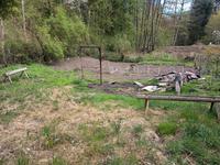 Gartenpflanzen gesucht Baden-Württemberg - Gschwend Vorschau