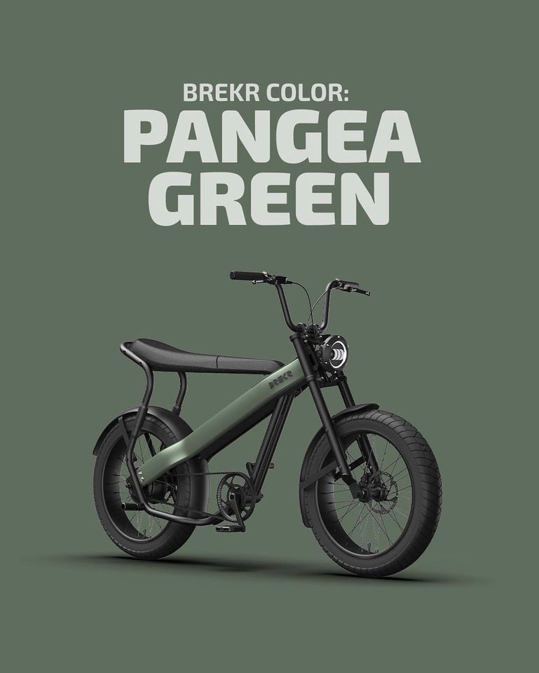 BREKR Modell F Ebike Fatbike Cruiser in Stadland