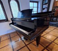 Klavier / Flügel von Preisträgerin zur - MIETE - Baden-Württemberg - Horb am Neckar Vorschau