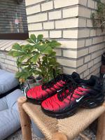 Nike Tn rot Altona - Hamburg Altona-Altstadt Vorschau