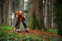 Kettensäge mieten bei KTS Burgwerben Sachsen-Anhalt - Weißenfels Vorschau