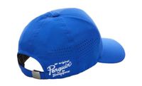 Cap Original Penguin Unisex Cap Country Club Perforated Blau Niedersachsen - Wennigsen Vorschau