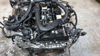 Motor Mercedes Vito W639 2.2 CDI 651940 651.940 40tkm Komplett Sachsen - Torgau Vorschau