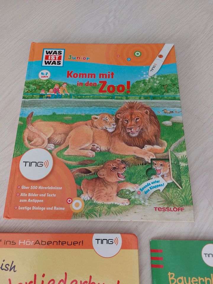 TING Bücher zum Stift Englisch Vorschule Brockhaus Zoo Bauernhof in Holzerode