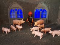 Playmobil Schweinehirt mit 10 Schweinen Schleswig-Holstein - Geschendorf Vorschau