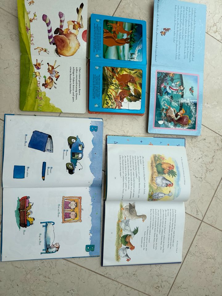 Puzzle Buch Lexikon Geschichte Disney Prinzessin Kinder dino in Cottbus