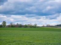 Offenstall Wallache für Rentner Baden-Württemberg - Herbertingen Vorschau