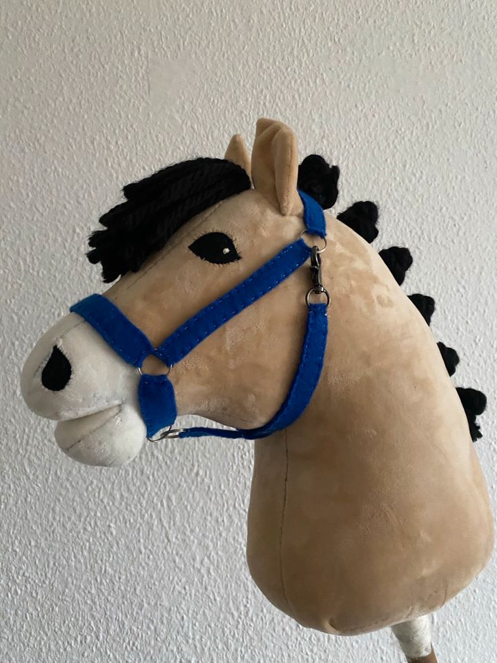 Hobby Horse Fjordpferd in Ratzeburg