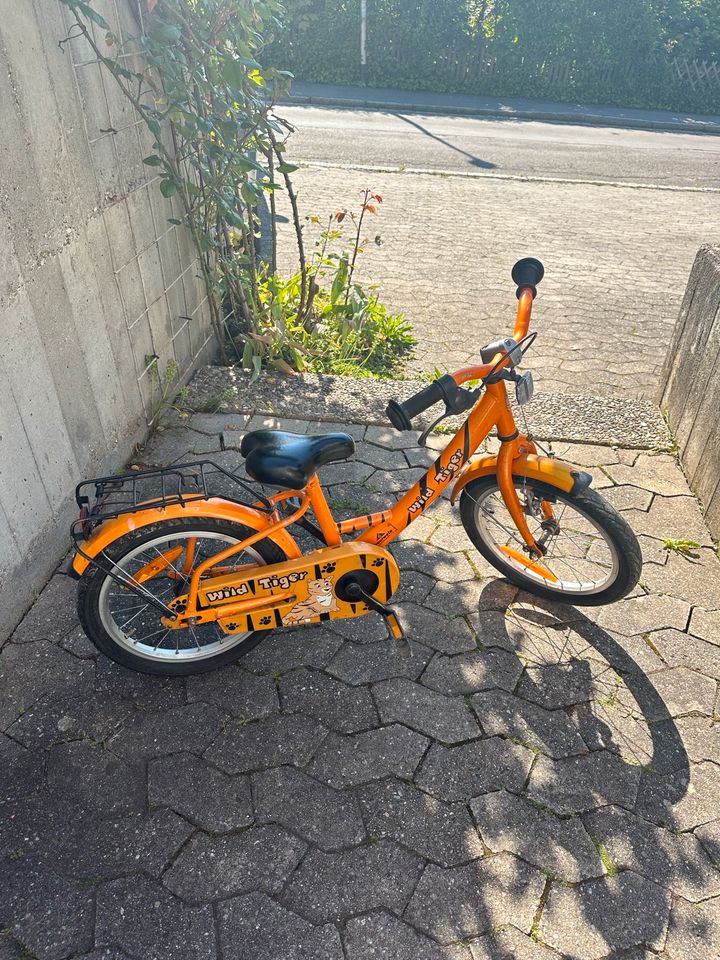 Tigerfahrrad WILD TIGER in Tübingen