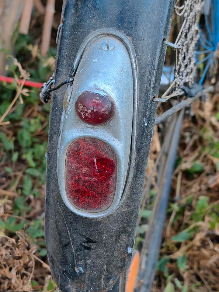 Altes Damen Rad zum fahren oder dekorieren in Neubrandenburg