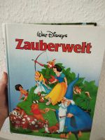 Zauberwelt von Disney (Kinderbuch) Leipzig - Lößnig Vorschau