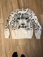 Pullover c&a Gr 158 Berlin - Pankow Vorschau