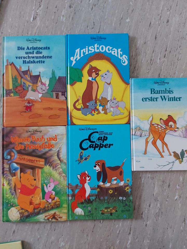 Walt Disney Bücher in Lüneburg