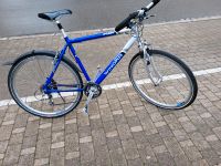 MTB Fahrrad 28 Zoll Baden-Württemberg - Villingen-Schwenningen Vorschau