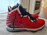 NIKE LEBRON 17 UPTEMPO Dr. 42,5 top Zustand Bayern - Bad Wörishofen Vorschau
