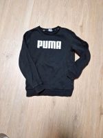 Puma Sweater, Pullover Gr. 152, eher 140 Duisburg - Rumeln-Kaldenhausen Vorschau