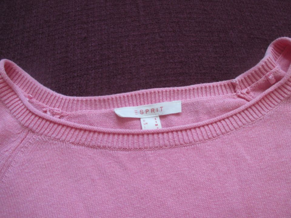 Volant Feinstrick Pullover ESPRIT 38,40-42/S-M Oversize apricot in Bammental