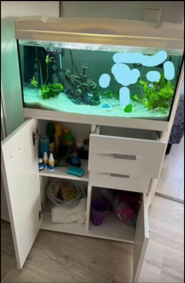 Aquarium 60l zu verkaufen in Friesenheim