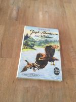 Jagd-Abenteuer am Waldsee Erich Kloss Schneider-Buch Tiefenforst Rheinland-Pfalz - Pirmasens Vorschau