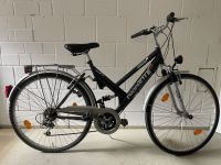 Damenrad Fahrrad 28 Zoll Prophete Streetrider Bayern - Kulmbach Vorschau