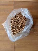 Kirschkerne 1,4 kg Bayern - Burgau Vorschau