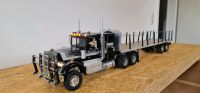 RC Truck LKW Wedico Peterbilt m. Licht u. Sound, RTR Nordrhein-Westfalen - Warburg Vorschau