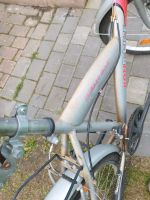Fahrrad 26 Zoll Schleswig-Holstein - Großenaspe Vorschau