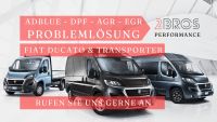 Fiat Ducato Transporter DPF AdBlue AGR EGR Störung Problemlösung Nordrhein-Westfalen - Hagen Vorschau