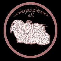 Lunkarya Meerschweinchen Nordrhein-Westfalen - Eslohe Vorschau