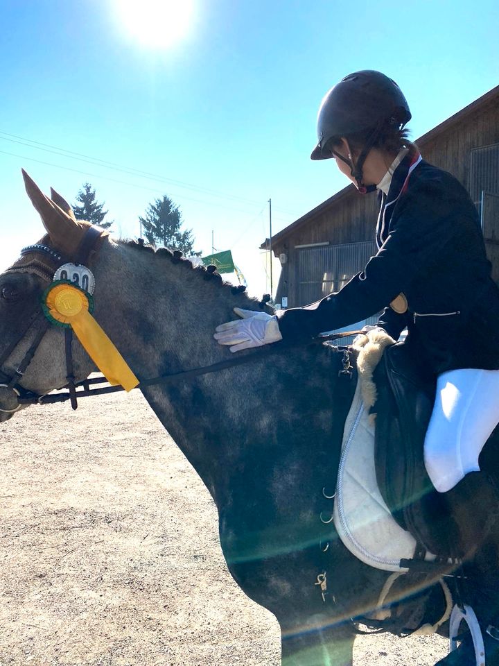 Reiter sucht Reitbeteildigung in München