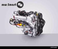 AT-Motor Smart Fortwo 451 Benziner 999ccm Nordrhein-Westfalen - Bad Lippspringe Vorschau