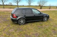 Golf 4 1,6l fsi Parchim - Landkreis - Brüel Vorschau