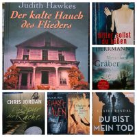 Thriller Buchpaket für 23,- € Rostock - Brinckmansdorf Vorschau