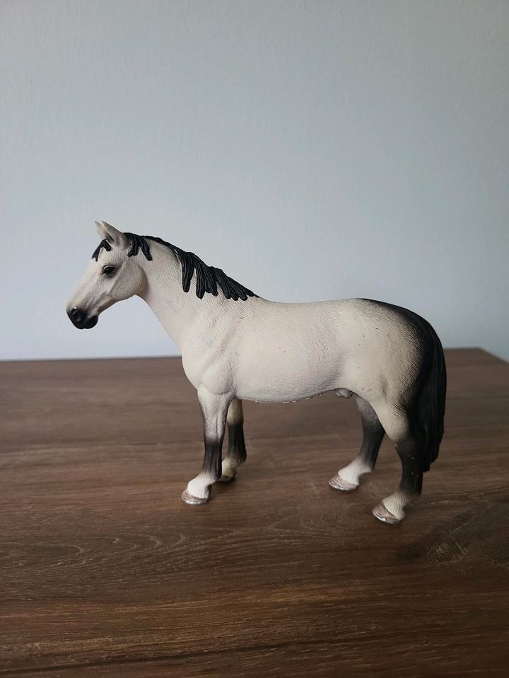 Schleich 13649 Hannoveraner Hengst Sonderbemalung in Hamburg