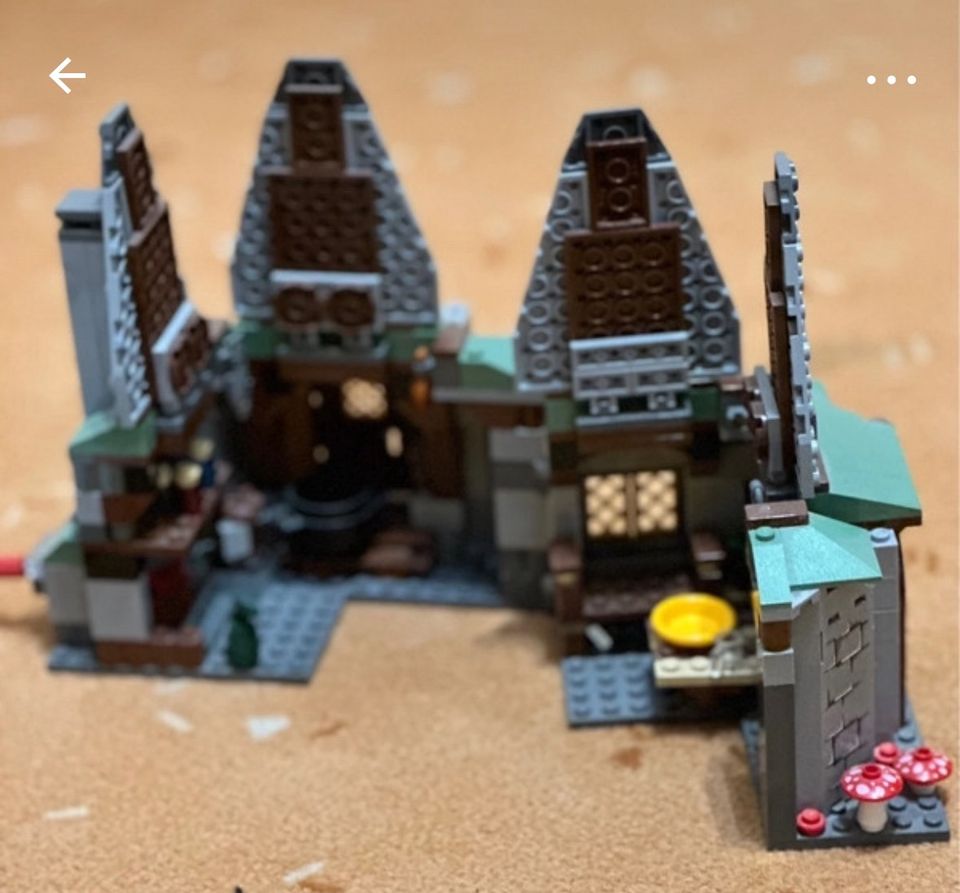 Lego Harry Potter Hagrids Hütte 4754 in Nordhausen