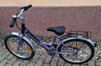 Pegasus Kinderfahrrad 20 Zoll Sachsen-Anhalt - Haldensleben Vorschau